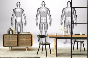 Naklejka 3D Rendering : standing male body type illustration
