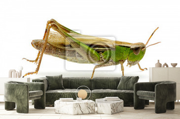 Wizualizacja produktu