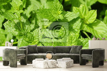 Wizualizacja produktu