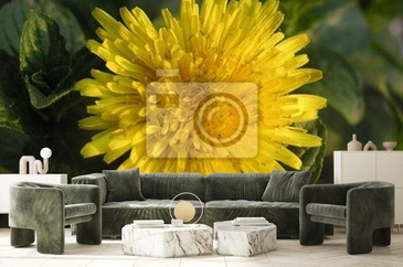 Wizualizacja produktu