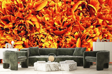 Wizualizacja produktu