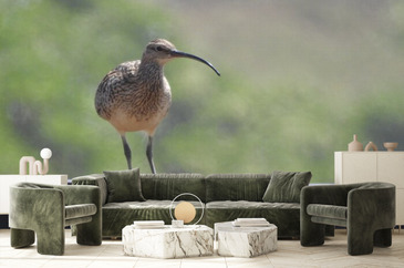 Wizualizacja produktu