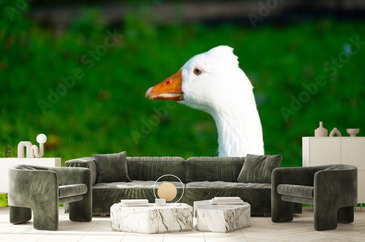 Wizualizacja produktu