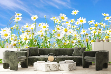 Wizualizacja produktu