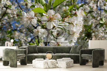 Wizualizacja produktu