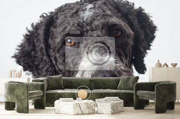 Wizualizacja produktu