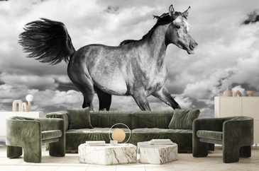 Wizualizacja produktu