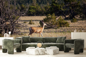 Wizualizacja produktu