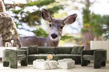 Wizualizacja produktu