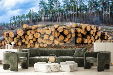 Wizualizacja produktu