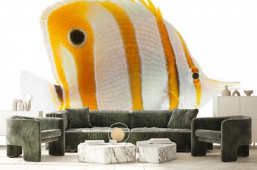 Wizualizacja produktu