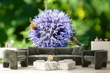 Wizualizacja produktu