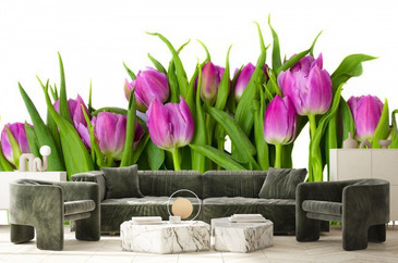 Wizualizacja produktu