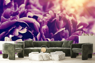 Wizualizacja produktu