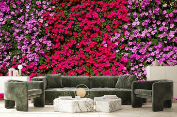 Wizualizacja produktu