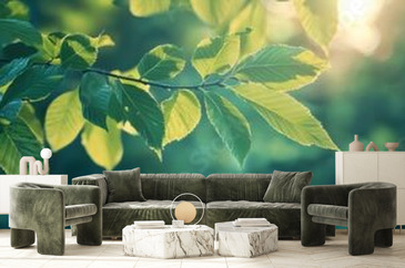 Wizualizacja produktu