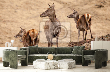 Wizualizacja produktu