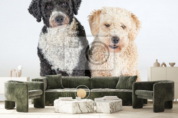 Wizualizacja produktu