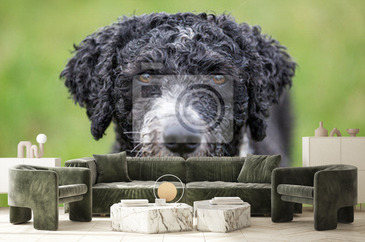 Wizualizacja produktu