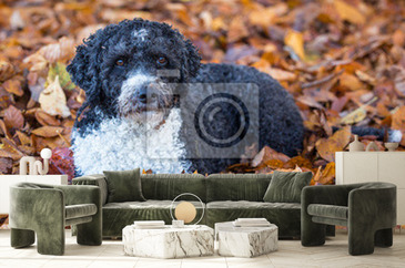 Wizualizacja produktu