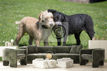 Wizualizacja produktu