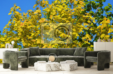 Wizualizacja produktu