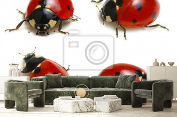 Wizualizacja produktu