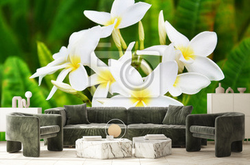 Wizualizacja produktu