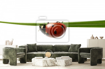 Wizualizacja produktu