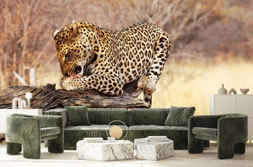 Wizualizacja produktu