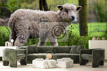 Wizualizacja produktu