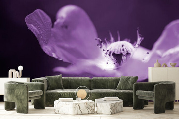 Wizualizacja produktu