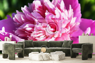 Wizualizacja produktu