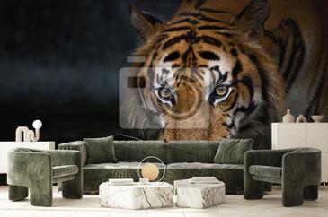 Wizualizacja produktu