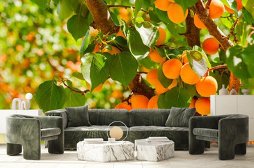 Wizualizacja produktu