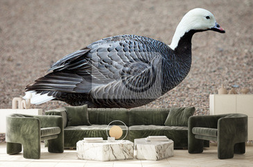 Wizualizacja produktu