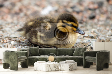 Wizualizacja produktu