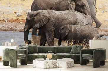 Wizualizacja produktu