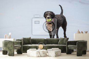 Wizualizacja produktu