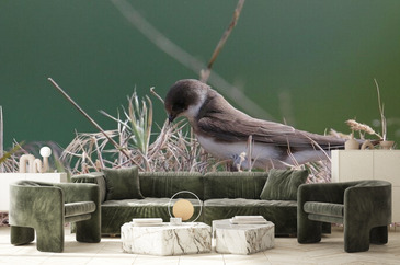 Wizualizacja produktu