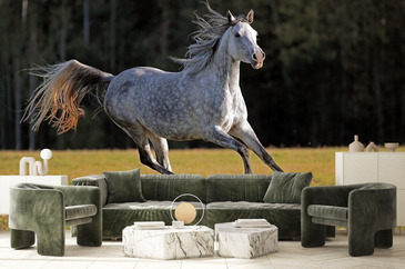 Wizualizacja produktu