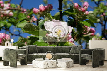 Wizualizacja produktu