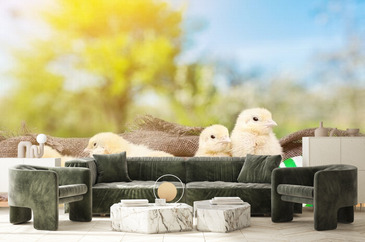 Wizualizacja produktu