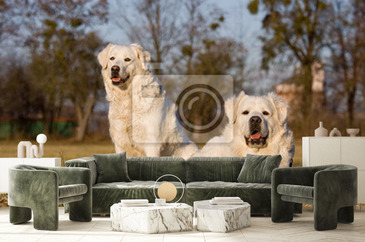 Wizualizacja produktu