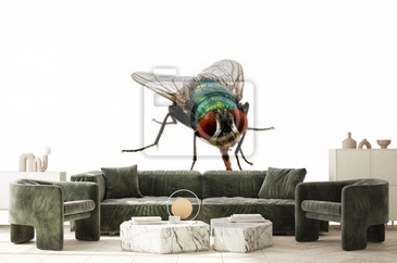 Wizualizacja produktu