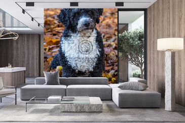 Wizualizacja produktu