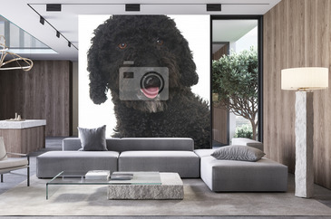 Wizualizacja produktu