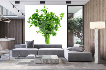 Wizualizacja produktu