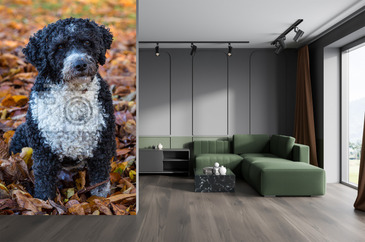 Wizualizacja produktu