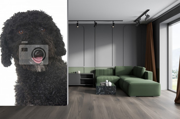 Wizualizacja produktu